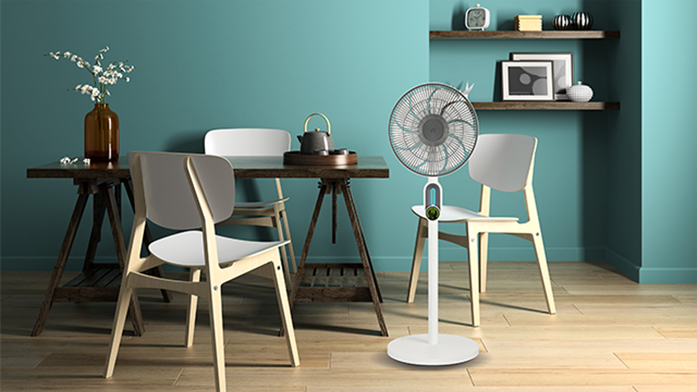 fan