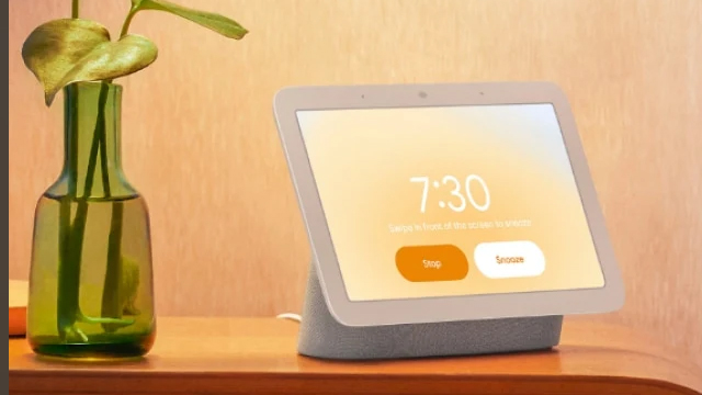 Google home