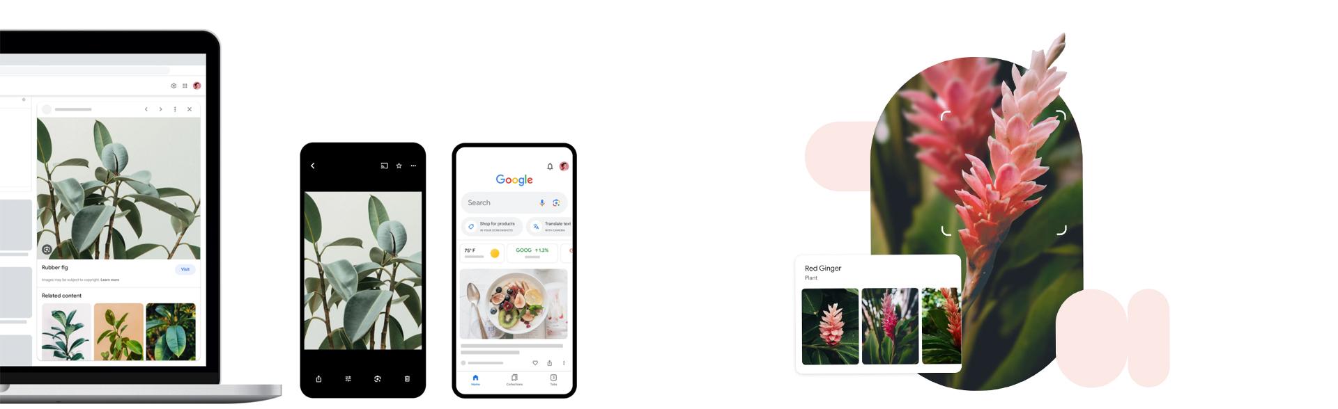 google information2